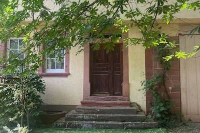 Sommerbuchvorstellung