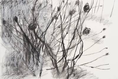 Joachim Dietrich: Im Rhythmus der Natur